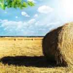 Korzyści z posiadania stacji pogodowej w gospodarstwie rolnym